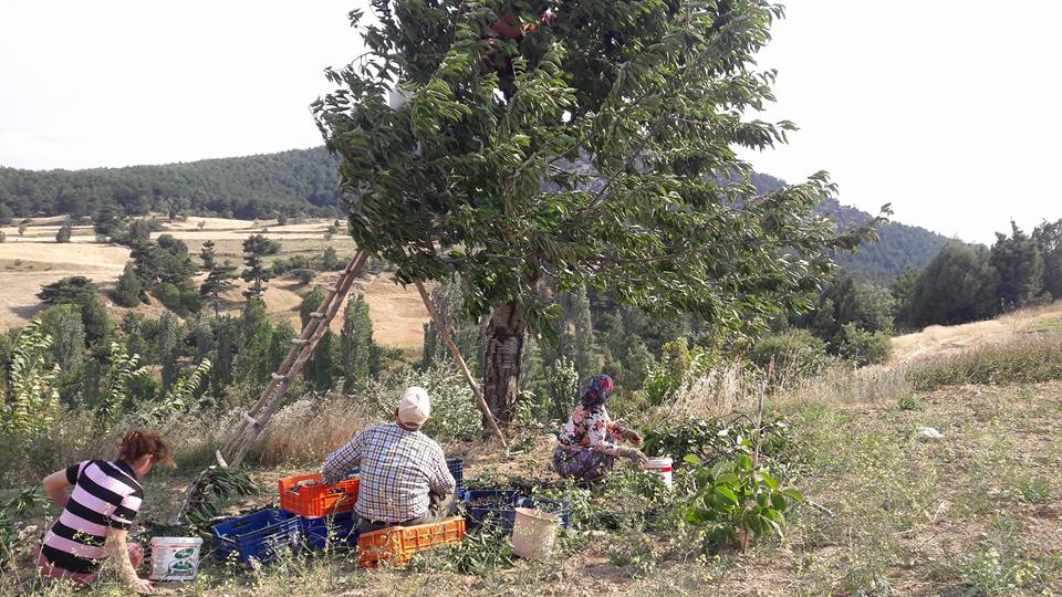 Turgay Asmalıkaya 9 Temmuz 2016 13